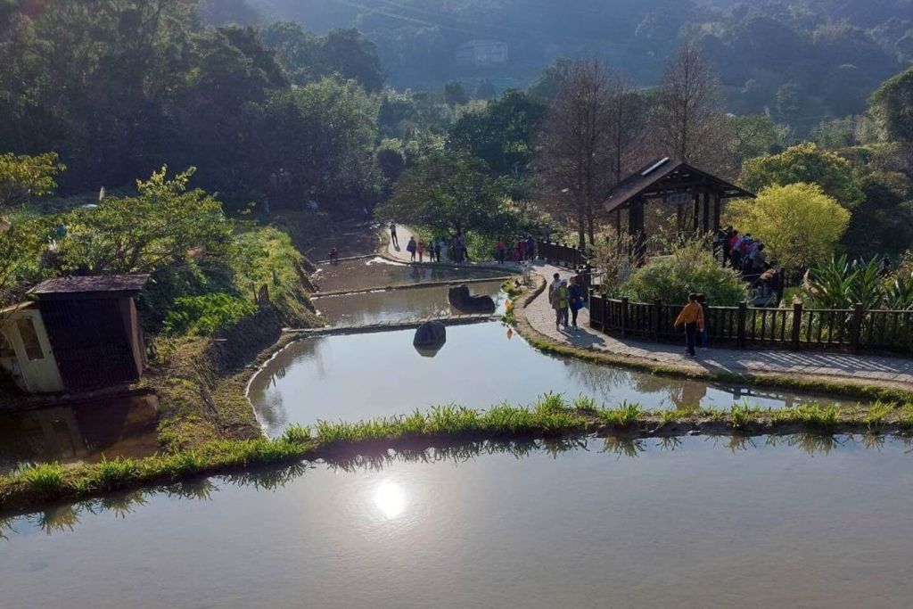 마오콩 캠퍼 트리 트레일