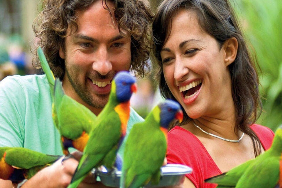 커럼빈 야생동물 보호구역 & 트리탑 챌린지