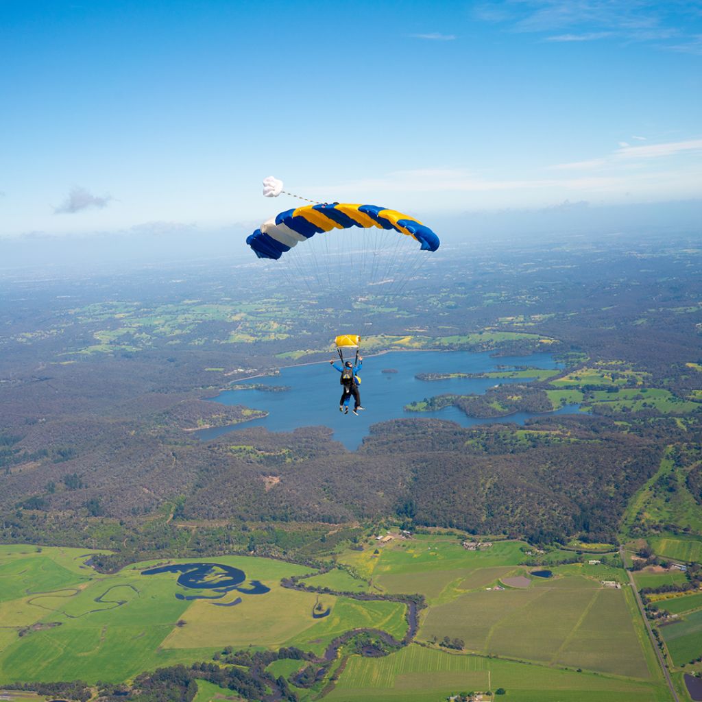 스카이다이브 시드니 울롱공