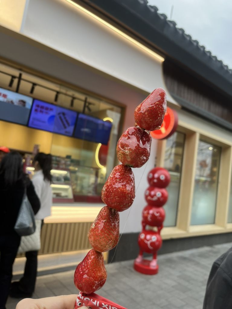 삼남매 여행기 👩👧👦 - 트리플, 나를 아는 여행 앱