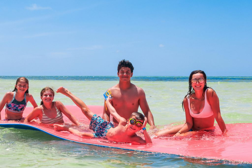 멕시코만에서 백합 패드를 든 게스트