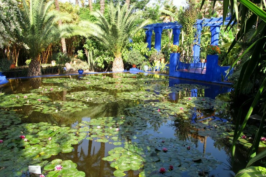 울창한 녹음과 푸른 구조로 둘러싸인 백합 패드와 꽃이 가득한 연못이 있는 고요한 정원 풍경.