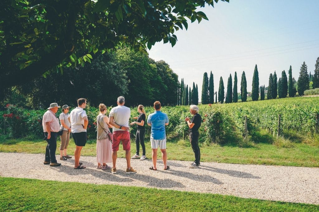 베로나 아마로네 와인 시음 투어