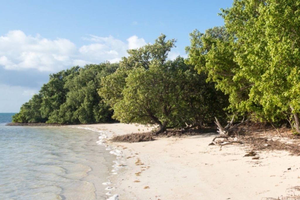 플로리다 키 웨스트