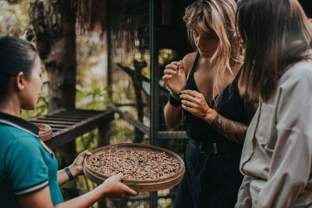 테갈랄랑 우붓 발리에서 즐기는 알라스하룸 농경 투어