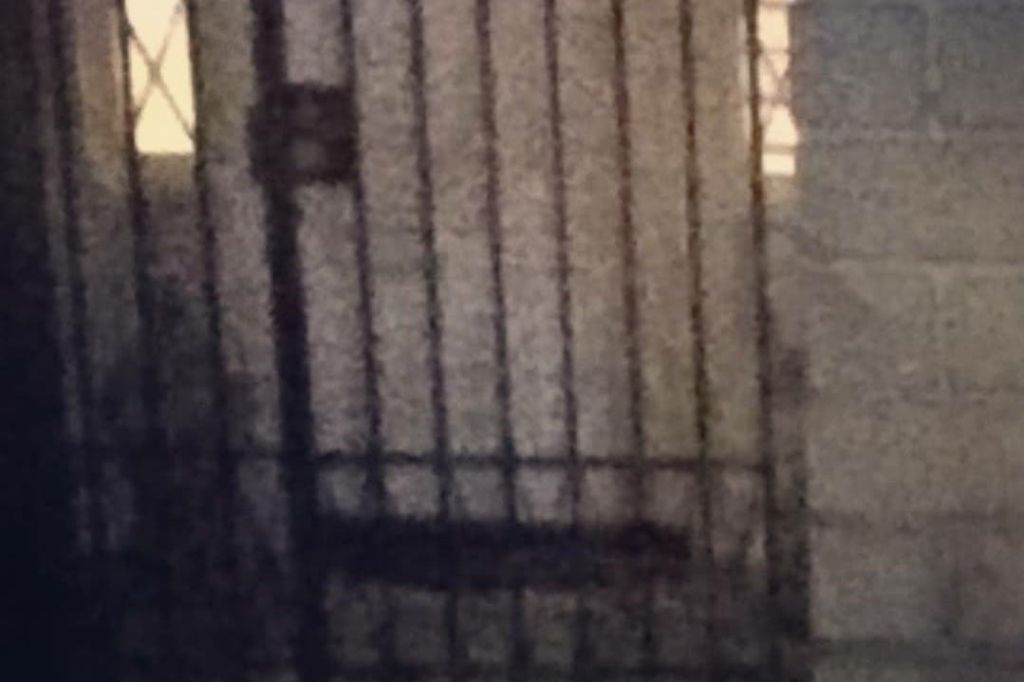 라로리 저택의 어린 소녀의 유령! 게스트가 제공한 사진.