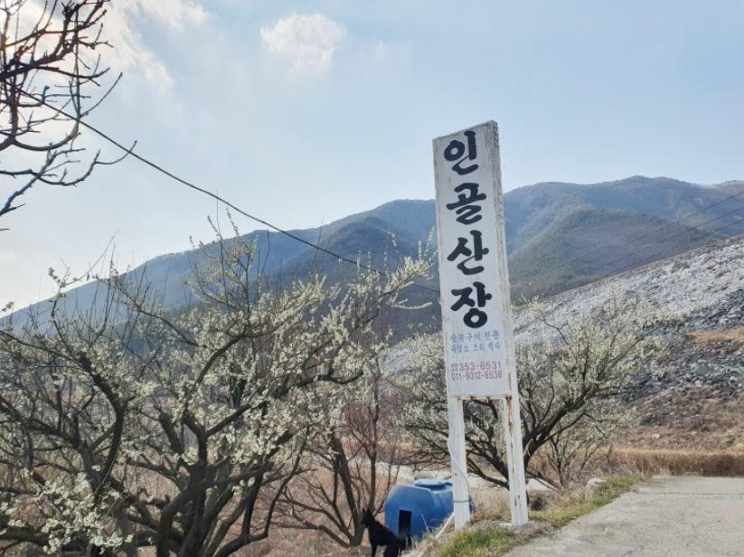 인골 산장