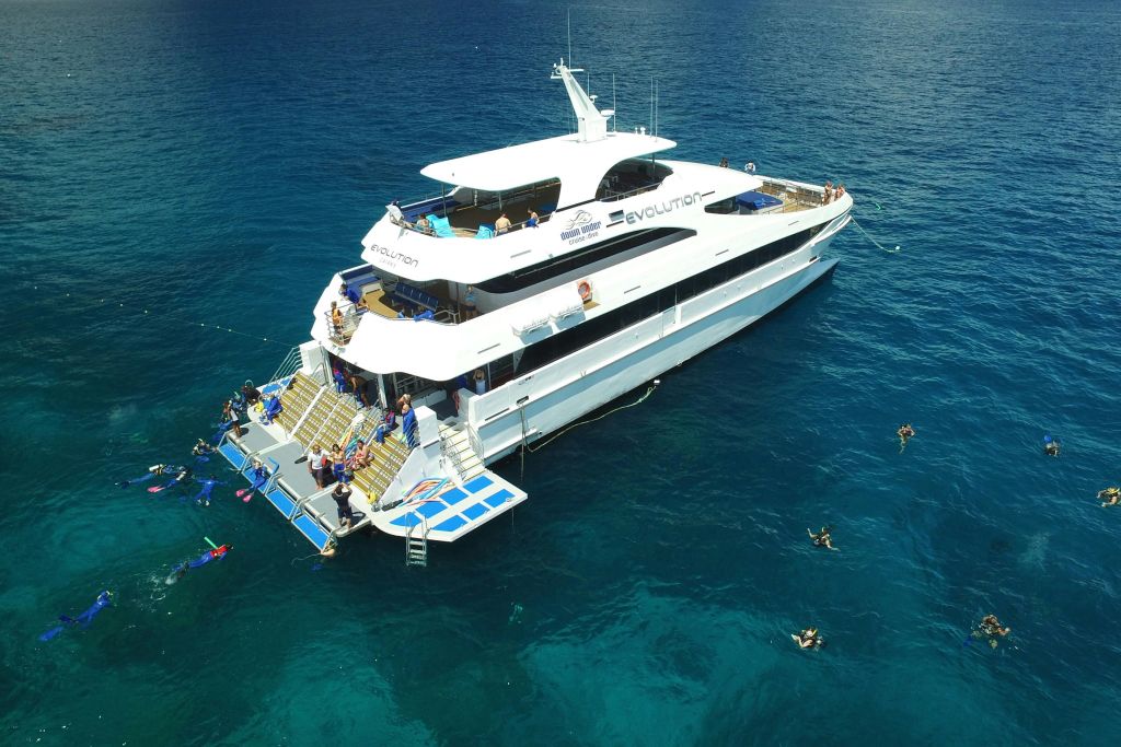 아우터 리프의 진화