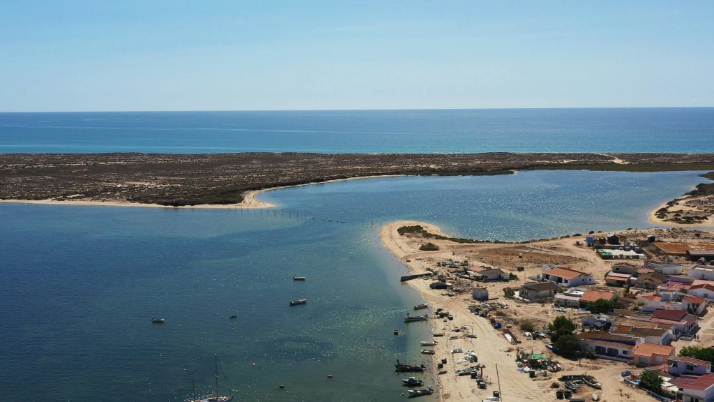 모래사장이 펼쳐진 해안 풍경, 바다에 정박한 여러 척의 보트, 해안가 근처의 건물.