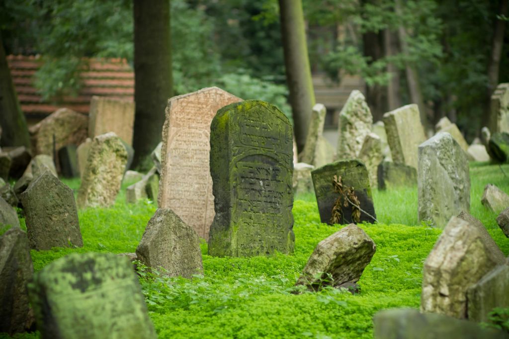 이끼로 뒤덮인 오래된 풍화 비석은 활기찬 푸른 풀과 나무로 둘러싸여 있습니다.