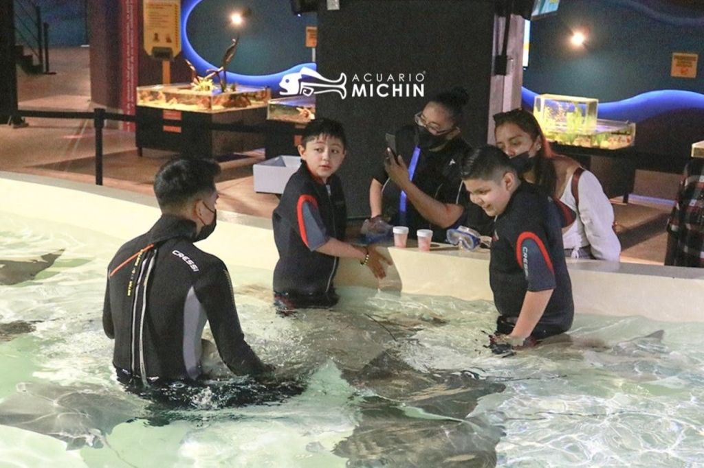 미친아쿠아리움푸에블라