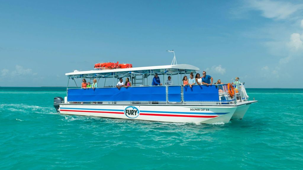 맑은 청록색 바다에서 "돌고래 고양이 2.0" 이라는 이름의 흰색과 파란색 관광 보트를 타고 화창한 하루를 즐기는 관광객.