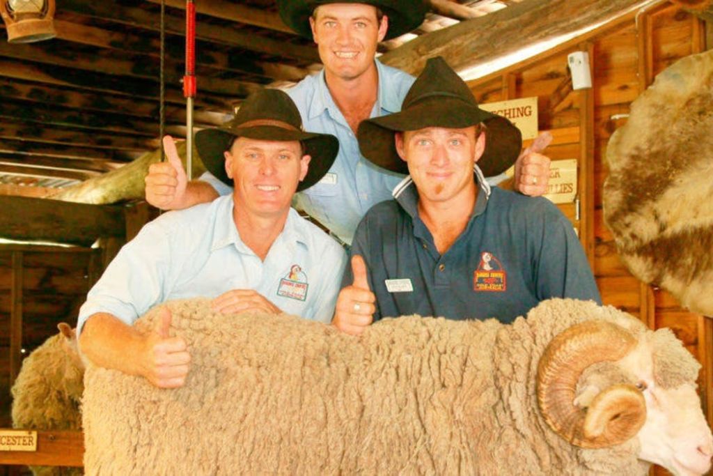 파라다이스 컨트리