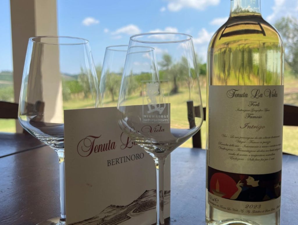 테이블 위에 와인잔, 와인병, 와인 라벨이 놓여 있습니다. 백그라운드에서 창문을 통해 아름다운 포도원 전망을 감상할 수 있습니다.