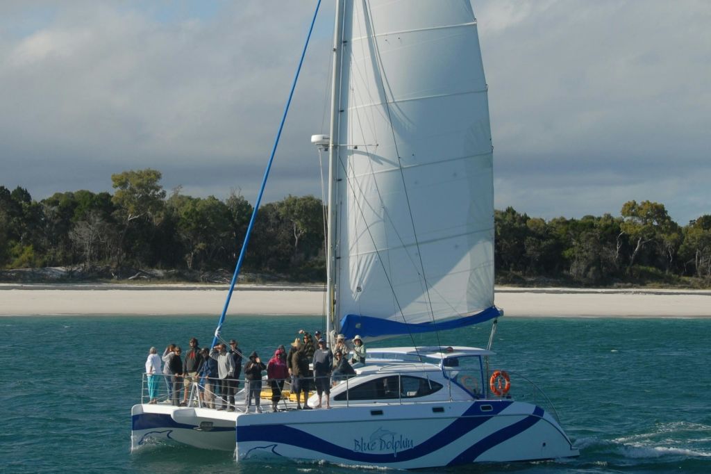 모래 해변과 나무를 배경으로 한 잔잔한 수로에서 "푸른 돌고래" 라는 이름의 범선을 탄 한 무리의 사람들.