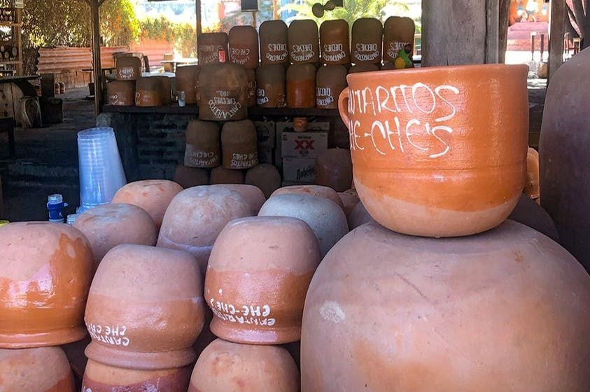 호세쿠에르보 테킬라 증류소 투어