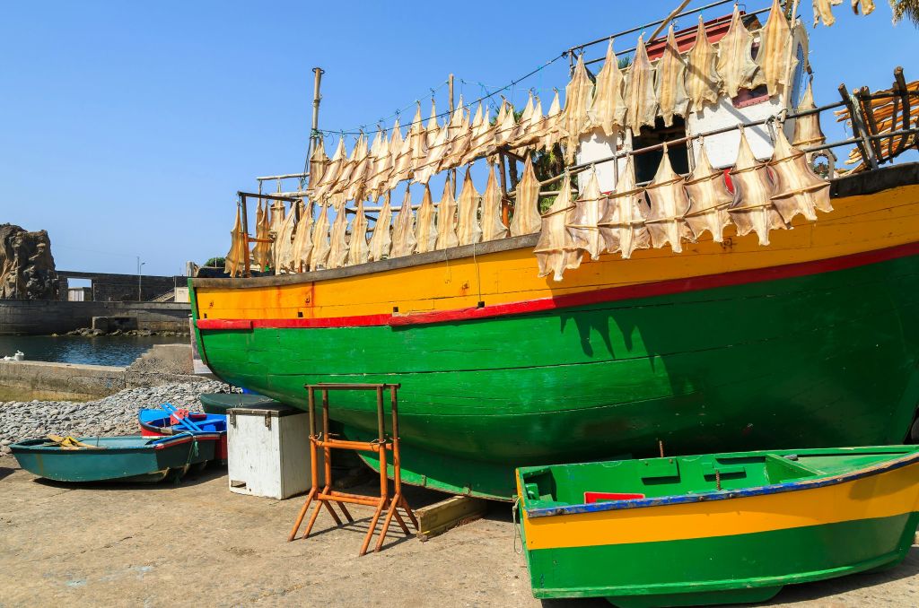 카마라데로보스 어선