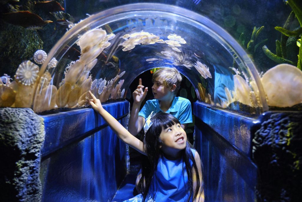 해파리로 둘러싸인 터널에서 두 어린이가 경이로운 표정으로 고개를 들고 가리킵니다.