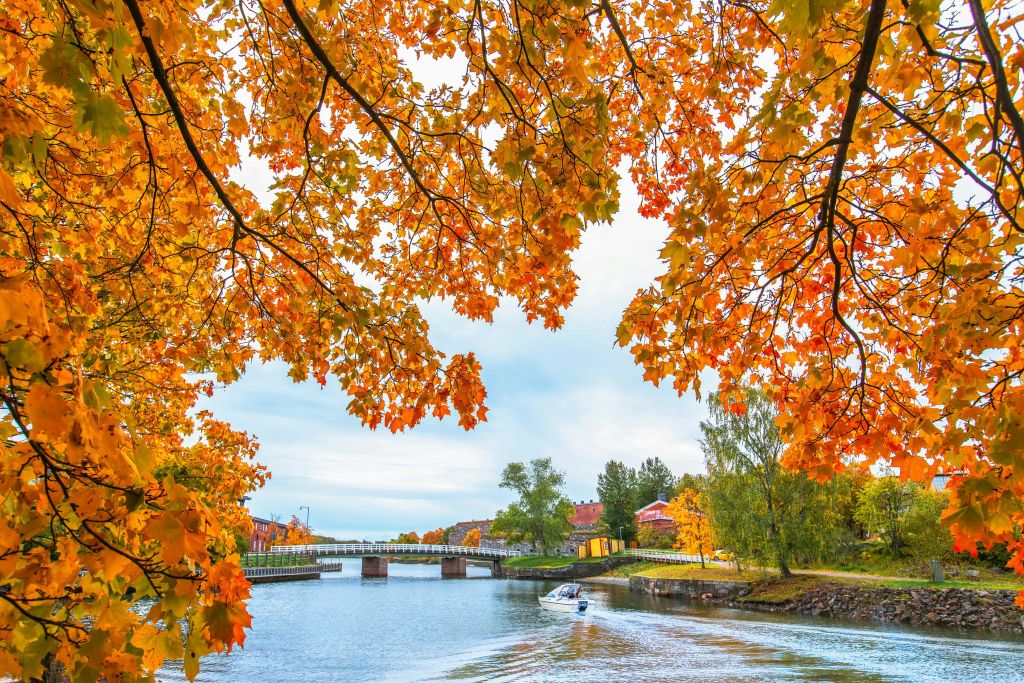 가을에 활기찬 오렌지색 나뭇잎 아래에서 나무가 우거진 강을 따라 배가 움직이고, 다리와 건물이 배경으로 보입니다.