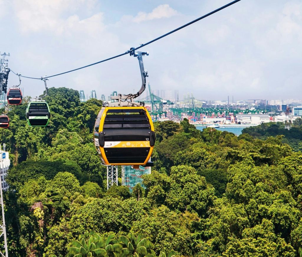 노란색과 초록색 두 대의 케이블카가 도시 스카이라인을 배경으로 울창한 숲을 가로지르고 있습니다.