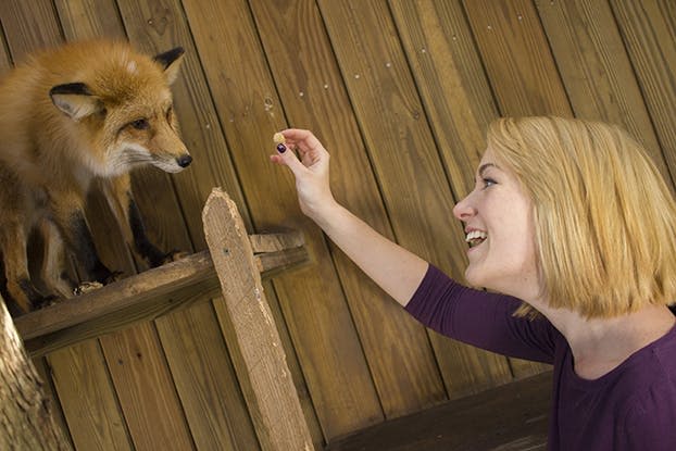 금발 머리에 보라색 셔츠를 입은 여성이 작은 물건을 나무 벽의 균열에 놓으며 미소 짓고 있습니다.