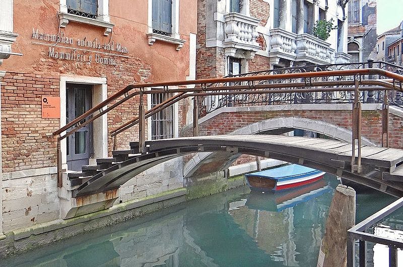 베네치아의 좁은 운하 너머로 아치형 목조 다리가 펼쳐져 있으며, 파란색과 빨간색 보트가 아래 물에 정박해 있습니다.