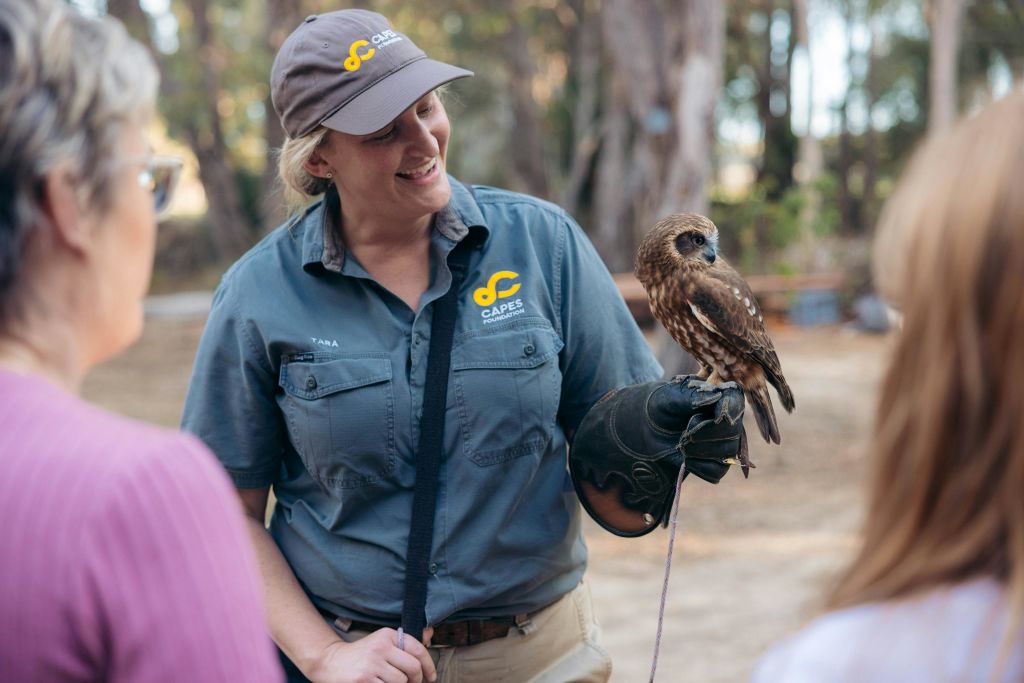 조류와의 만남은 모든 방문의 하이라이트입니다