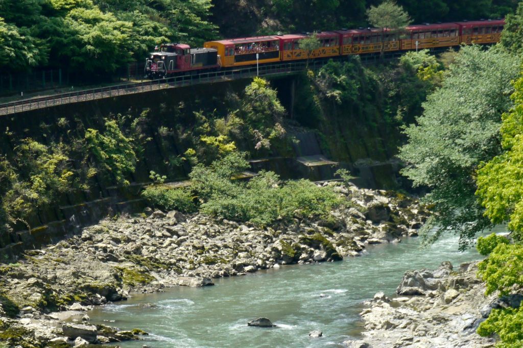 호즈가와강 보트 투어