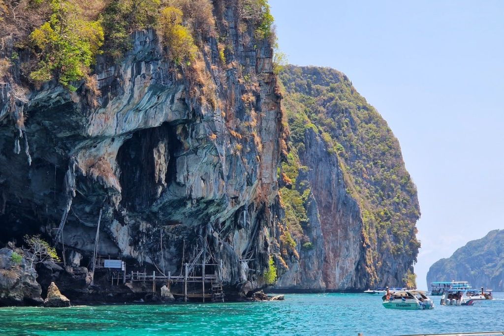새 둥지를 수확하는 신비로운 바이킹 동굴