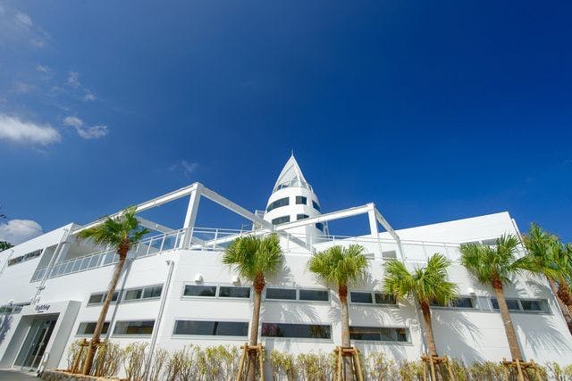 청명한 푸른 하늘을 배경으로 정면에 원뿔 모양의 꼭대기와 야자수가 있는 현대적인 흰색 건물입니다.