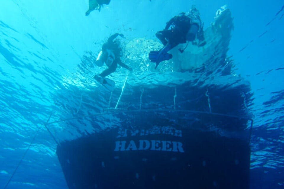 마르사알람의 사타야 돌고래 하우스에서 다이빙하기