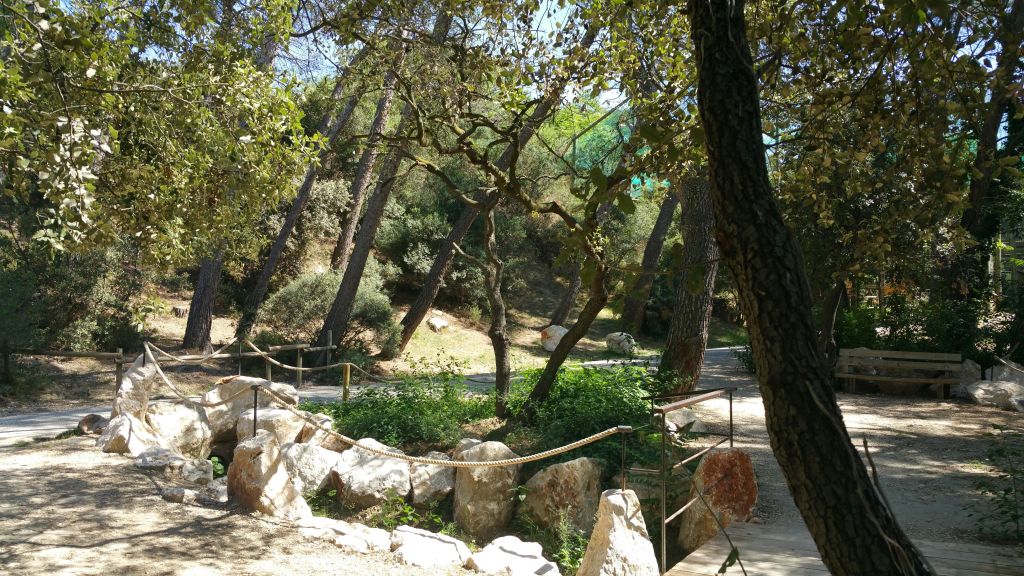 나무, 관목, 커다란 바위, 밧줄 난간으로 둘러싸인 통로가 있는 공원입니다. 햇살이 단풍을 거릅니다.