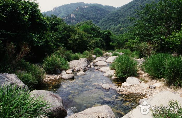 사나사 계곡