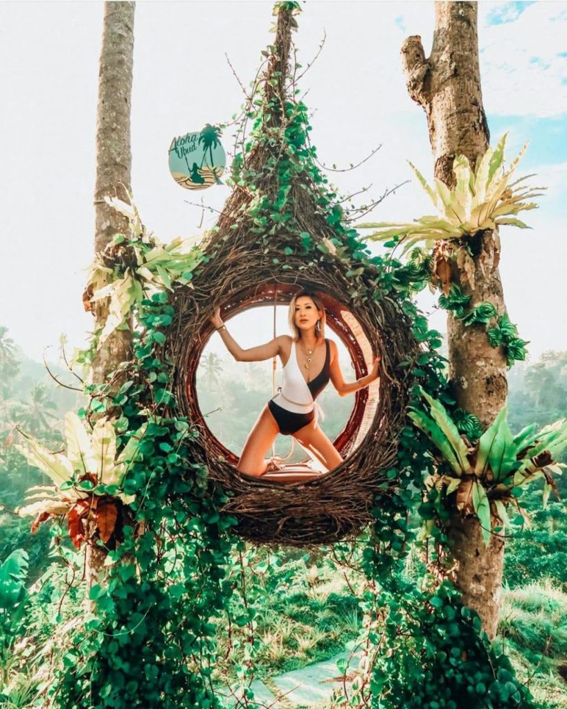한 여성이 식물로 장식된 커다란 눈물방울 모양의 고리버들 둥지에 앉아 열대 단풍을 배경으로 나무 두 그루 사이에 매달려 있습니다.