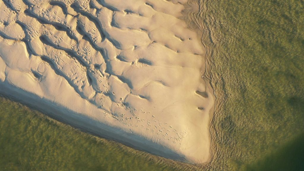 푸르른 물 옆에 바람에 조각된 무늬와 발자국이 있는 모래 해변의 공중 전망.