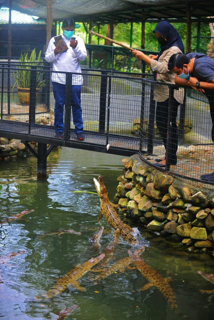 연못 위의 다리에 세 사람이 앉아 한 사람은 사진을 찍고 두 사람은 기둥으로 악어에게 먹이를 줍니다. 모두 마스크를 착용하세요.