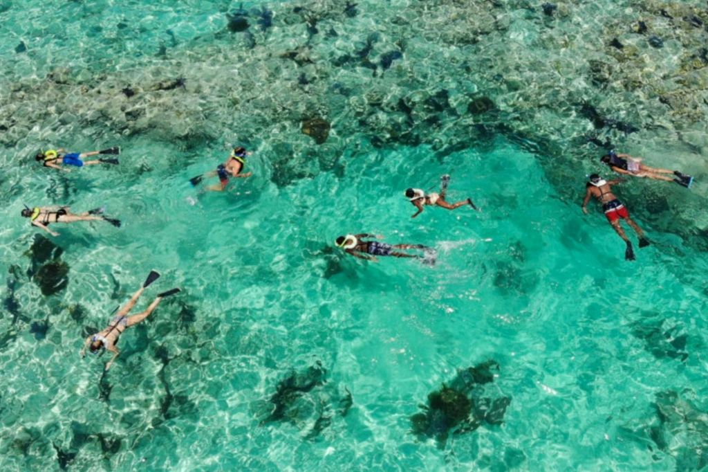 산호초 위에서 즐기는 스노클링
