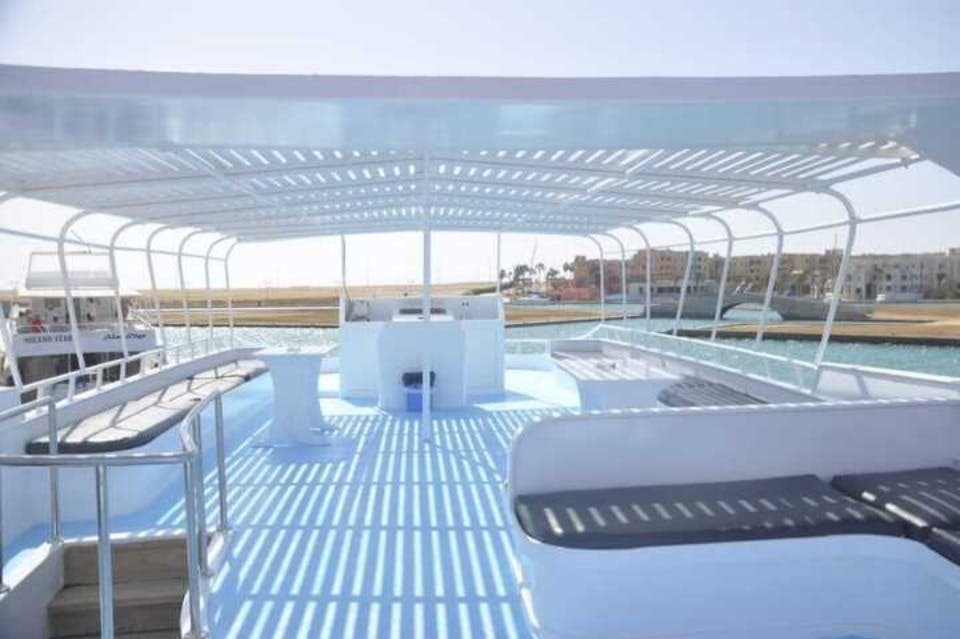 새터데이 돌고래 리프 마르사 알람 돌고래 하우스