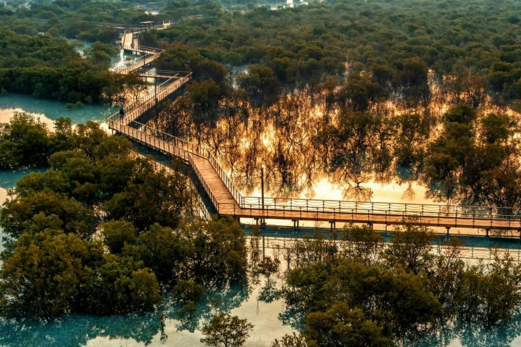 주베일 맹그로브 공원 - 보드워크 체험