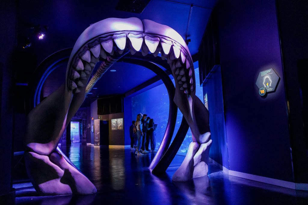 아틀란티스아쿠아리움