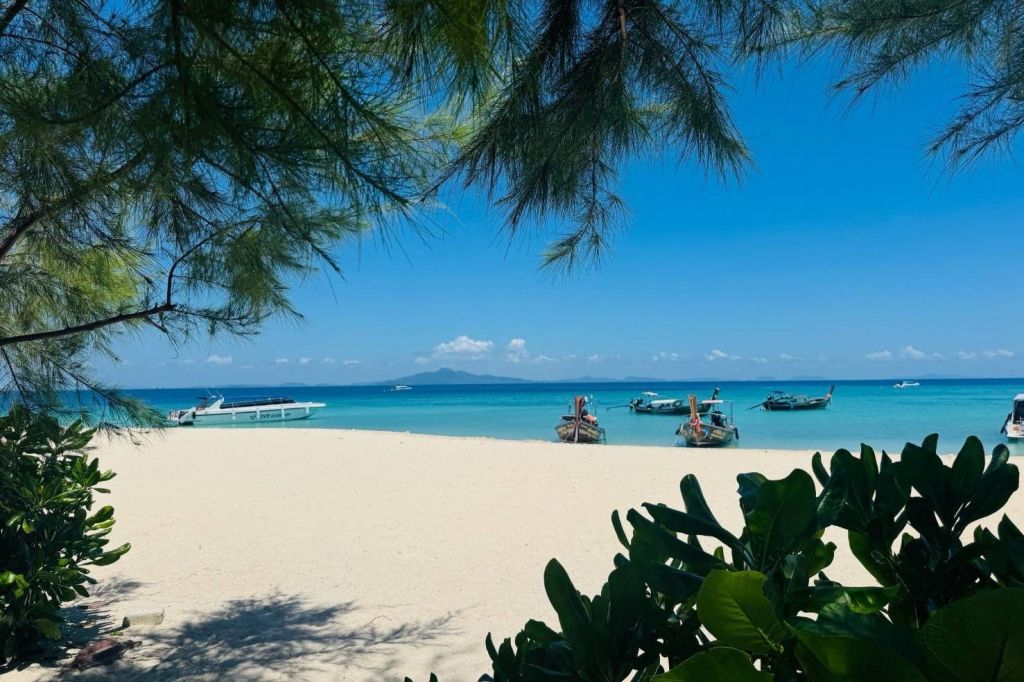 백사장, 푸른 바다, 해안가에 정박한 보트, 나뭇가지가 아름다운 풍경을 배경으로 섬을 배경으로 펼쳐지는 열대 해변 풍경.