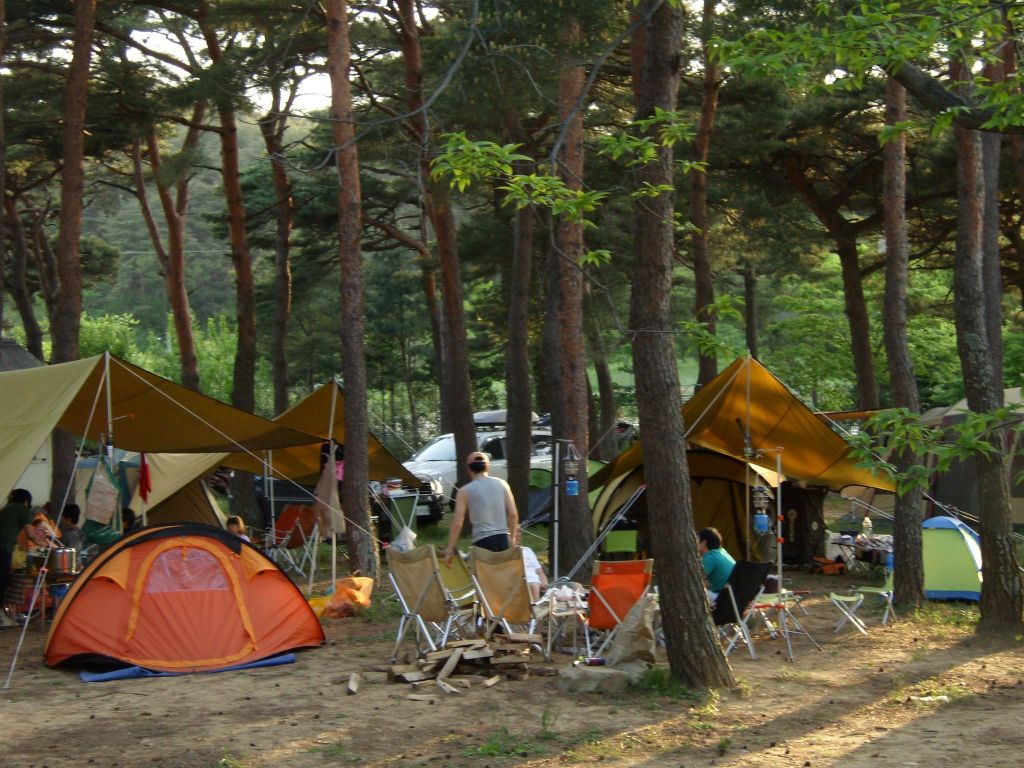 양양 오토 캠핑장