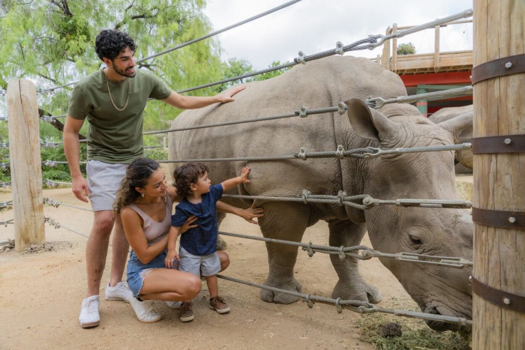 가족이 비하인드 스토리를 즐기고 있습니다.