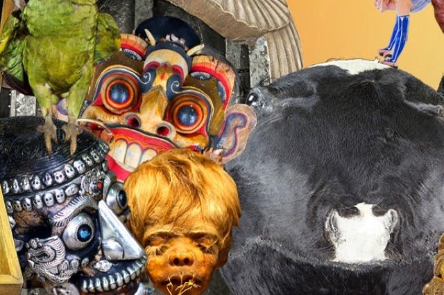 리플리의 믿거나 말거나! 미러 메이즈: 메릴랜드주 오션시티