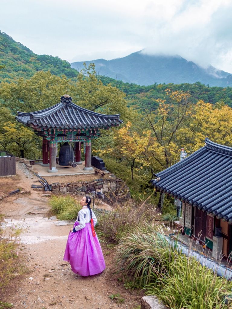 중부 내륙 힐링 여행(10권역)