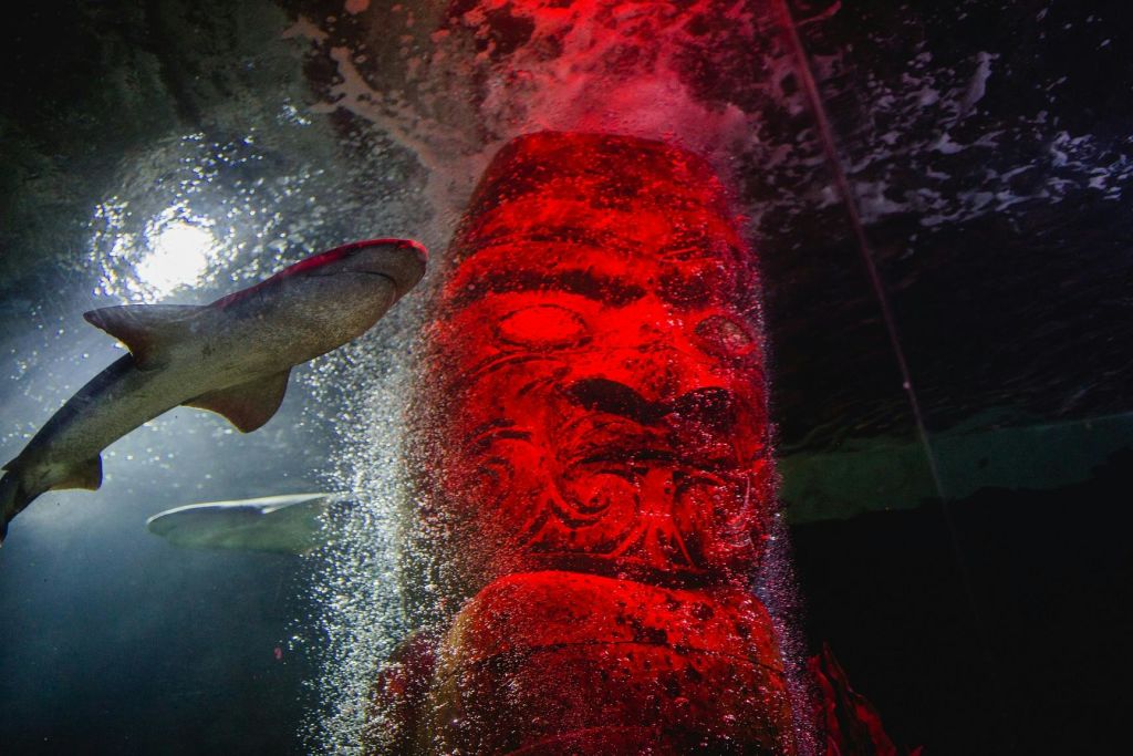 수중의 커다란 붉은 동상 머리에는 거품이 있고 근처에 물고기가 헤엄치고 있습니다.
