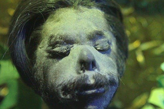 리플리의 믿거나 말거나! 할리우드