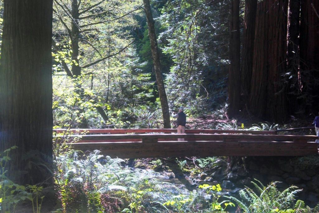 뮤어우즈국립기념물