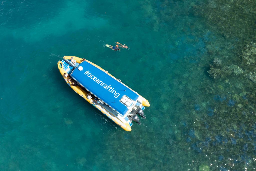 환상적인 스노클링