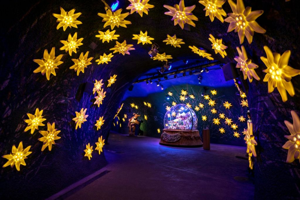 알파인 센세이션